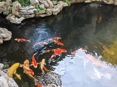 -鲤院·新中式美学·庭院餐厅(夫子庙店)