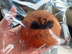 -BLACKSWAN黑天鹅(环球店)