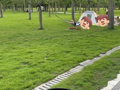 -风云岭森林公园