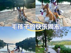 -南国桃园旅游度假区