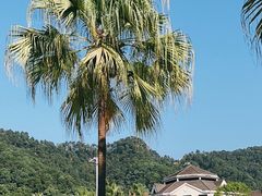 -重庆海昌加勒比海水世界