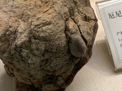 -辽宁古生物博物馆