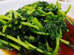 -大鸿运酒店·苏州菜·松鼠桂鱼(观前街店)