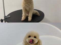 -comecome来吧宠物(奥克斯中心店)