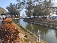 -西涌国际滨海旅游区