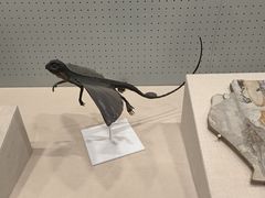 -辽宁古生物博物馆