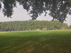 -河南省黄河迎宾馆