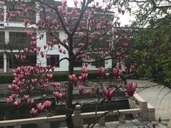 -苏州吴宫泛太平洋酒店