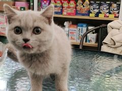 -宠颐生宠物医院外科·内科·皮肤科·影像科(石龙店)