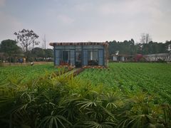 -洪湖家庭农场·团建·露营·会议