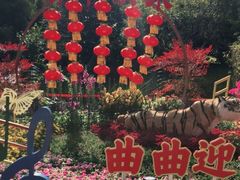 -晓港公园