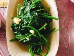 炒苕尖-温江公平红烧兔(总店)