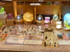 -二酉书店TOYOU BOOKS