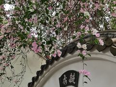 -深圳国际园林花卉博览园