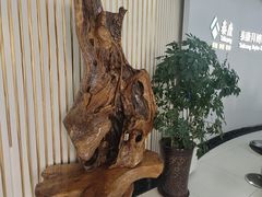 -泰康拜博口腔·二级专科医院(种植·正畸·修复·联合中心)
