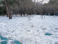 -朝阳公园