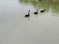 -泉州海丝野生动物世界