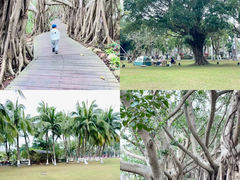 -西秀海滩公园