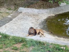 -乐和乐都主题乐园