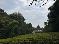 -敬亭山风景名胜区