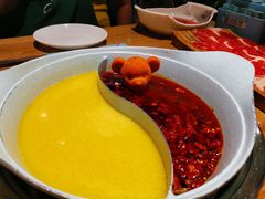 -青瓷火锅料理(西单大悦城店)