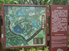 -王借岗森林公园