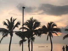 -乔木提恩海滩