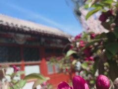 -海棠花溪(元大都城垣遗址公园)