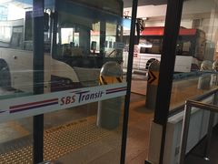 -新加坡飞禽公园