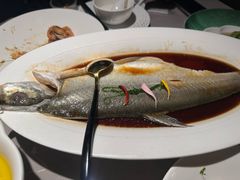 -醉庐·新上海菜(南京西路店)
