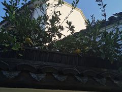 -张家港凤凰山景区恬庄古街