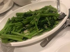 -峨嵋一派