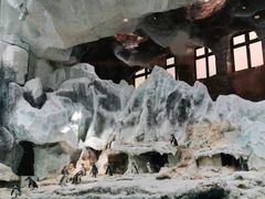 -帝企鹅自助餐厅•儿童岛•真企鹅(长隆企鹅酒店)