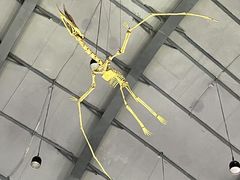 -辽宁古生物博物馆