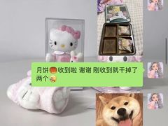 -宠物之家Pets Home 宠物寄养酒店