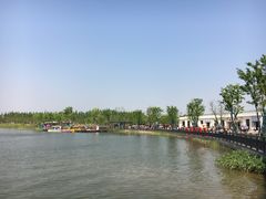 -上海长兴岛郊野公园