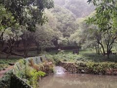 -宁波市保国寺古建筑博物馆