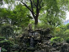 -上海醉白池公园