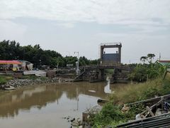 -海鸥岛河景湖大排档