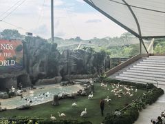 -新加坡飞禽公园