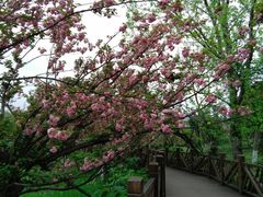 -贵阳市花溪国家城市湿地公园