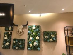 -彼家美创·量肤定制修护管理