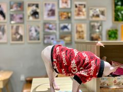 -藏猫猫咖啡主题馆(中央大道店)