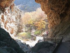 -大连天门山国家森林公园