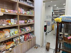 -四月宠物医院·猫专科·心脏专科·内科(转塘店)