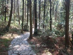 -象山森林公园