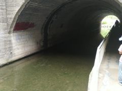 -白水寺森林公园