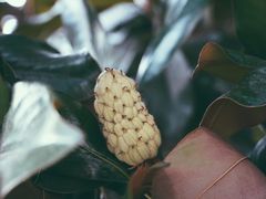 -济南轻骑摩托车有限公司(和平路)