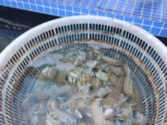 -胶东小镇(流泉街店)