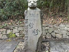 -都江堰中华大熊猫苑